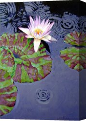 The End of Dinner Canvas Prints - End of Shower by John Lautermilch