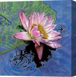 The End of Dinner Canvas Prints - End of Summer Shower by John Lautermilch