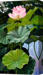 Lautermilch Canvas Prints - Lotus Rising by John Lautermilch
