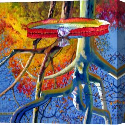 Reflection Canvas Prints - Missouri Sycamore Reflections by John Lautermilch