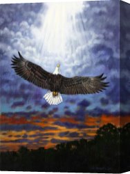 Wing of a Blue Roller Canvas Prints - On Eagles Wings by John Lautermilch