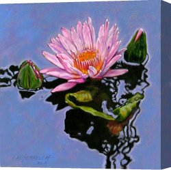 Reflection Canvas Prints - Pink Lily with Dancing Reflections by John Lautermilch