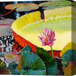 Summer Canvas Prints - Summer Colors on the Pond by John Lautermilch