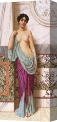 Unclothed Canvas Prints - In the Tepidarium by John William Godward