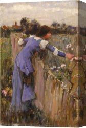 Oil Canvas Paintings - The Flower Picker Oil on Canvas by John William Waterhouse