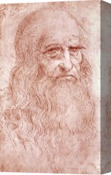 Portrait of a Young Man (selfportrait) Canvas Paintings - Portrait Of A Bearded Man by Leonardo da Vinci