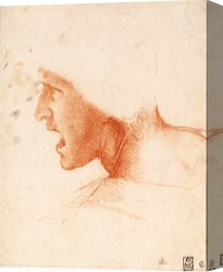 The Battle of Bannockburn Canvas Prints - Study Of A Warrior's Head For The Battle Of Anghiari by Leonardo da Vinci