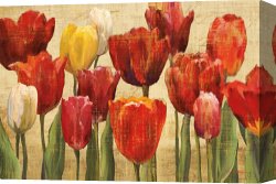 Fantasy Canvas Prints - Tulip Fantasy on Cream by Marilyn Hageman
