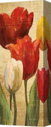 Fantasy Canvas Prints - Tulip Fantasy on Cream II by Marilyn Hageman