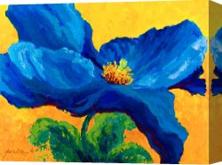 Wing of a Blue Roller Canvas Prints - Blue Poppy by Marion Rose