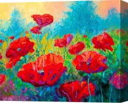 Red And White Canvas Prints - Field Of Red Poppies by Marion Rose