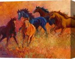 Wild Boars Canvas Paintings - Free Range - Wild Horses by Marion Rose