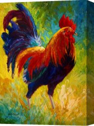 Woman at a Hot Spring Hotel Canvas Prints - Hot Shot - Rooster by Marion Rose