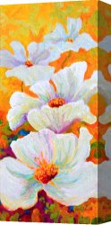 White Canvas Prints - Meadow Angels - White Poppies by Marion Rose