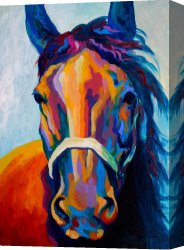 Boy Canvas Paintings - One Of The Boys by Marion Rose