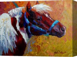 Boy Canvas Paintings - Pony Boy by Marion Rose