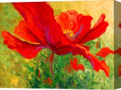 Red And White Canvas Prints - Red Poppy I by Marion Rose