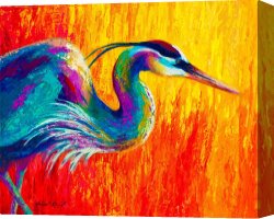 Wing of a Blue Roller Canvas Prints - Stalking The Marsh - Great Blue Heron by Marion Rose