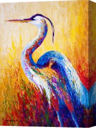 Wing of a Blue Roller Canvas Prints - Steady Gaze - Great Blue Heron by Marion Rose