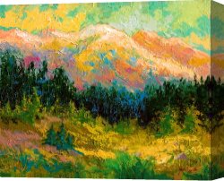 Summer Canvas Prints - Summer High Country by Marion Rose