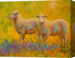 When The West with Evening Glows Canvas Prints - Warm Glow - Sheep Pair by Marion Rose