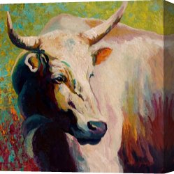 White Canvas Prints - White Bull Portrait by Marion Rose