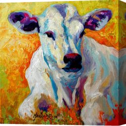 White Canvas Prints - White Calf by Marion Rose