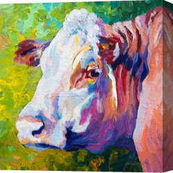 White Canvas Prints - White Face Cow by Marion Rose