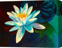 White Canvas Prints - White Lily III by Marion Rose