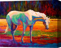 White Canvas Prints - White Mare II by Marion Rose