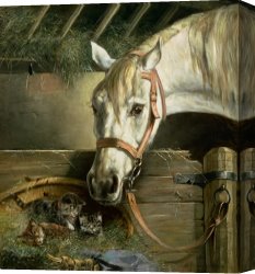 Horse Race Canvas Paintings - Horse and kittens by Moritz Muller