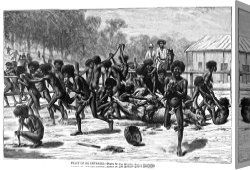 Swine, 19th Century Canvas Paintings - ABORIGINES, 19th CENTURY by Others