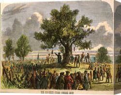 Boston Celebration Canvas Prints - Boston: Stamp Act Riot, 1765 by Others