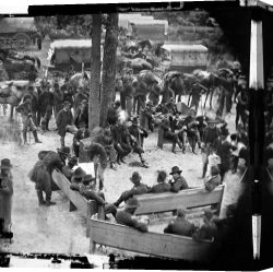 Cold Canvas Paintings - Cold Harbor, 1864 by Others