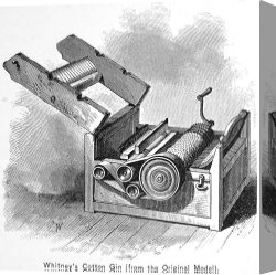 Swine, 19th Century Canvas Paintings - COTTON GIN, 19th CENTURY by Others