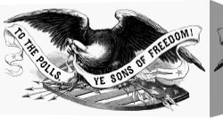 Swine, 19th Century Canvas Paintings - EAGLE, 19th CENTURY by Others