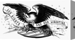 Swine, 19th Century Canvas Paintings - EAGLE, 19th CENTURY by Others