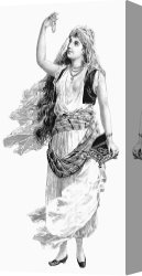 Swine, 19th Century Canvas Paintings - HAREM WOMAN. 19th CENTURY by Others