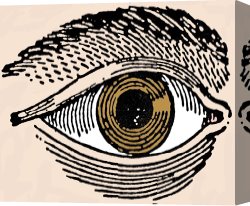 Swine, 19th Century Canvas Paintings - HUMAN EYE, 19th CENTURY by Others