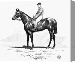 Horse Race Canvas Paintings - Race Horse, 1900 by Others