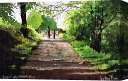 Summer Canvas Prints - Summers Day Hardcastle Crags. by Paul Dene Marlor