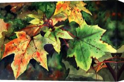 Paul Kruger (1825-1904) Canvas Prints - Sycamore Leaves by Paul Dene Marlor