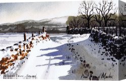 Boar Lane Canvas Paintings - Winter Lane sowood by Paul Dene Marlor