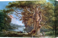 Paul Kruger (1825-1904) Canvas Prints - An Ancient Beech Tree by Paul Sandby