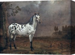 Horse Race Canvas Paintings - The Piebald Horse by Paulus Potter