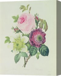 Redoute Canvas Paintings - Rose by Pierre Joseph Redoute