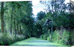 Between Geest And Marsh Canvas Prints - Poitevin Marsh by Poitevin Marsh