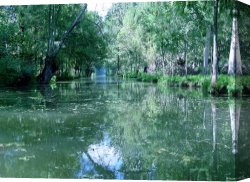 Between Geest And Marsh Canvas Prints - Poitevin Marsh by Poitevin Marsh