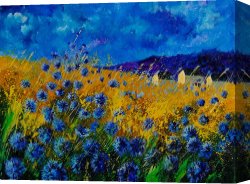 Wing of a Blue Roller Canvas Prints - Blue cornflowers by Pol Ledent