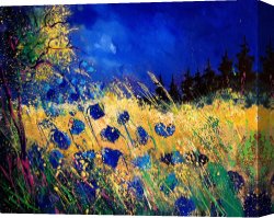 Wing of a Blue Roller Canvas Prints - Blue Poppies 459070 by Pol Ledent